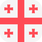 Georgia's Flagt Icon